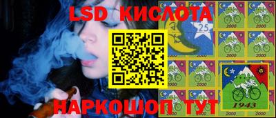 гидра Гатчина
