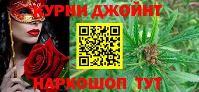 гидра Гатчина