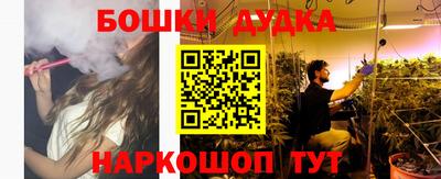 гидра Гатчина