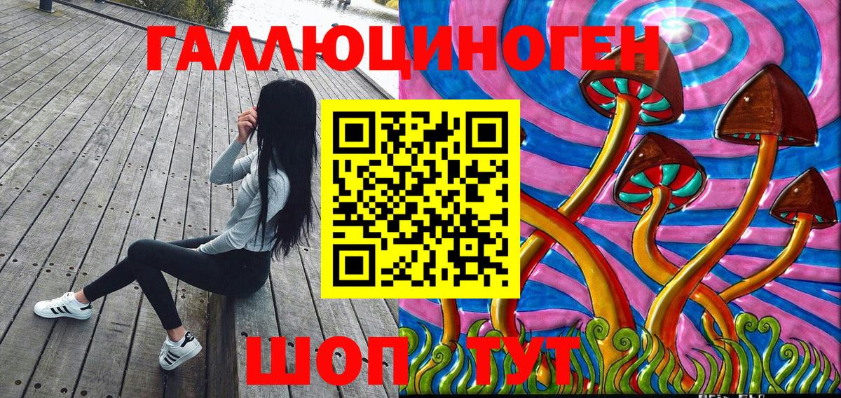 Псилоцибиновые грибы MAGIC MUSHROOMS  Вход с VPN  Галлюциногенные грибы Psilocybe  Искитим 
