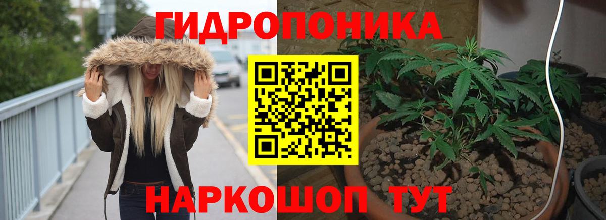 Бошки Шишки марихуана  Вход с VPN  Канабис Ganja  Искитим  Бошки марихуана Ganja 
